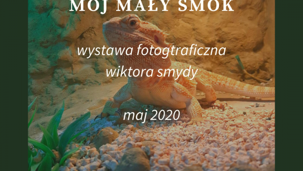 WYSTAWA FOTOGRAFICZNA WIKTORA SMYDY #zostanwdomu